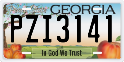 GA license plate PZI3141