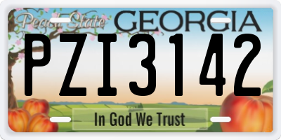 GA license plate PZI3142