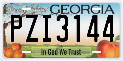 GA license plate PZI3144