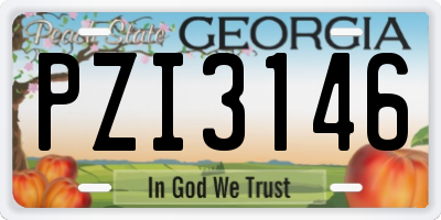 GA license plate PZI3146