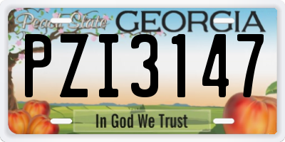 GA license plate PZI3147