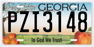 GA license plate PZI3148