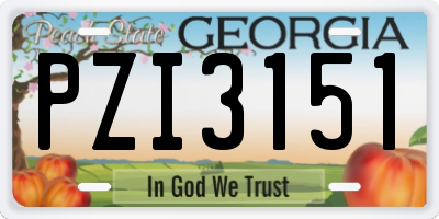 GA license plate PZI3151