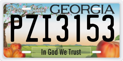 GA license plate PZI3153