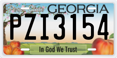 GA license plate PZI3154