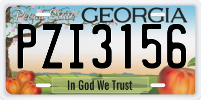GA license plate PZI3156