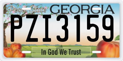 GA license plate PZI3159