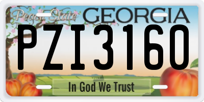 GA license plate PZI3160