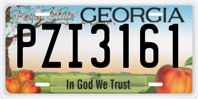 GA license plate PZI3161