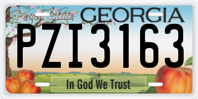 GA license plate PZI3163