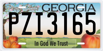 GA license plate PZI3165