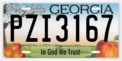 GA license plate PZI3167