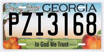 GA license plate PZI3168