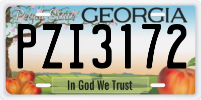 GA license plate PZI3172