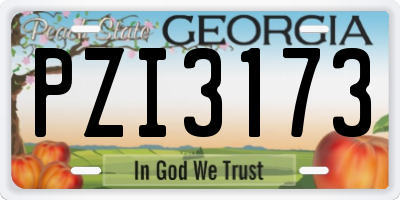 GA license plate PZI3173