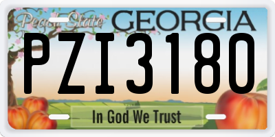 GA license plate PZI3180