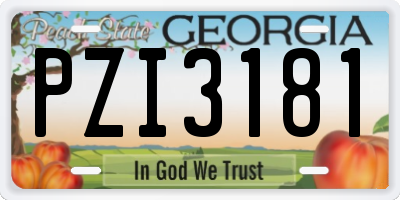 GA license plate PZI3181