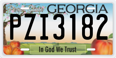 GA license plate PZI3182