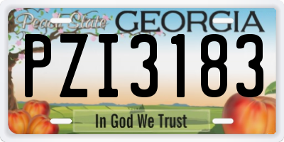 GA license plate PZI3183