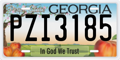 GA license plate PZI3185