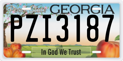 GA license plate PZI3187