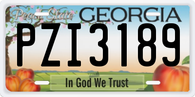GA license plate PZI3189