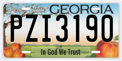 GA license plate PZI3190