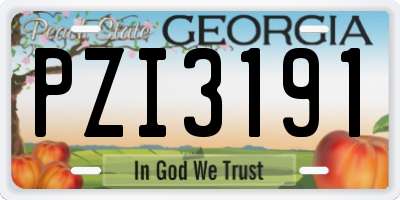 GA license plate PZI3191