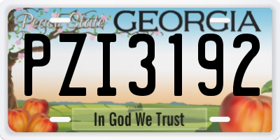GA license plate PZI3192