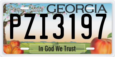 GA license plate PZI3197