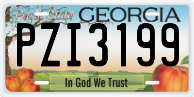 GA license plate PZI3199