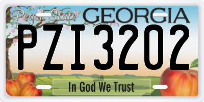 GA license plate PZI3202
