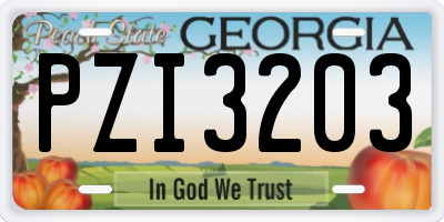 GA license plate PZI3203