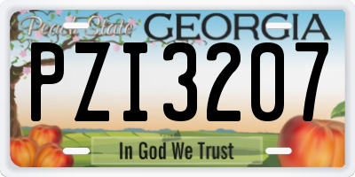 GA license plate PZI3207