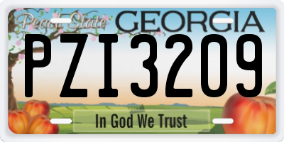 GA license plate PZI3209
