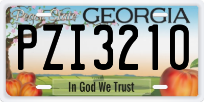 GA license plate PZI3210
