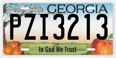 GA license plate PZI3213