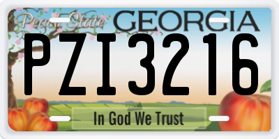 GA license plate PZI3216