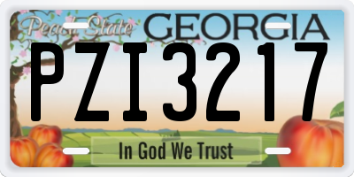 GA license plate PZI3217