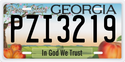 GA license plate PZI3219