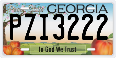 GA license plate PZI3222