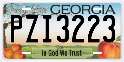 GA license plate PZI3223