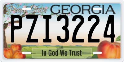 GA license plate PZI3224