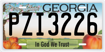 GA license plate PZI3226