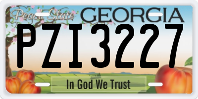 GA license plate PZI3227