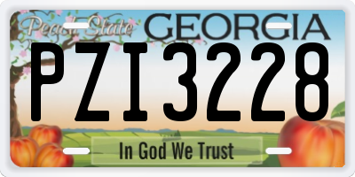 GA license plate PZI3228
