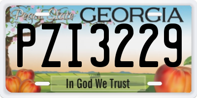 GA license plate PZI3229