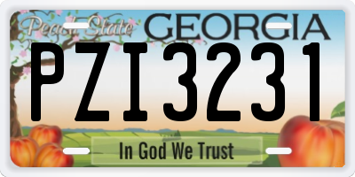 GA license plate PZI3231