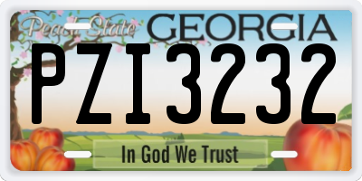 GA license plate PZI3232