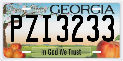 GA license plate PZI3233